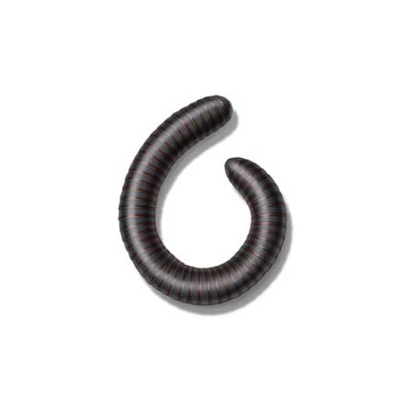 Millipede identification in Puerto Rico - Rentokil formerly Oliver Exterminating