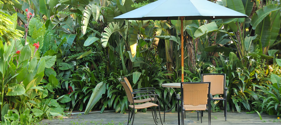 Pest-free outdoor living tips in Puerto Rico - Rentokil formerly Oliver Exterminating